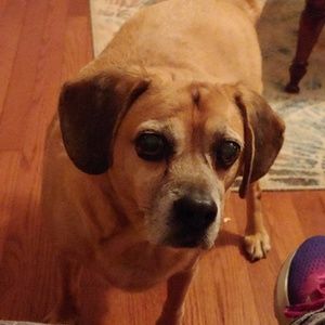 Meet your Posher, Tracy